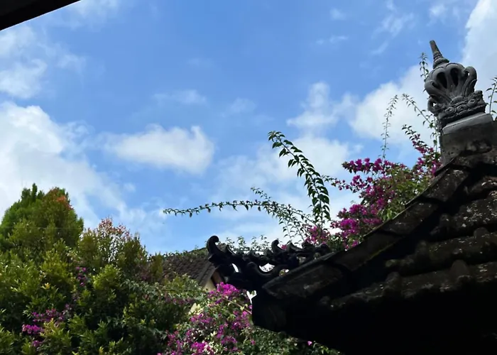 Jana's Sidemen (Bali)